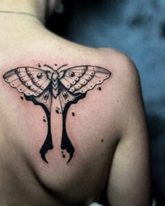 tatoueur saint etienne tattoo papillon